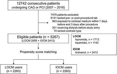 Low-Osmolar vs. Iso-Osmolar Contrast Media on the Risk of Contrast-Induced Acute Kidney Injury: A Propensity Score Matched Study